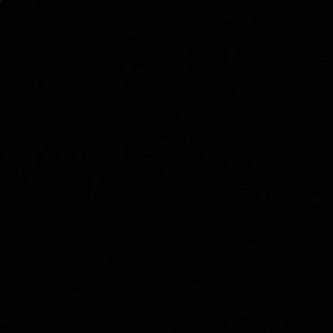 Meet your Posher, Jairo